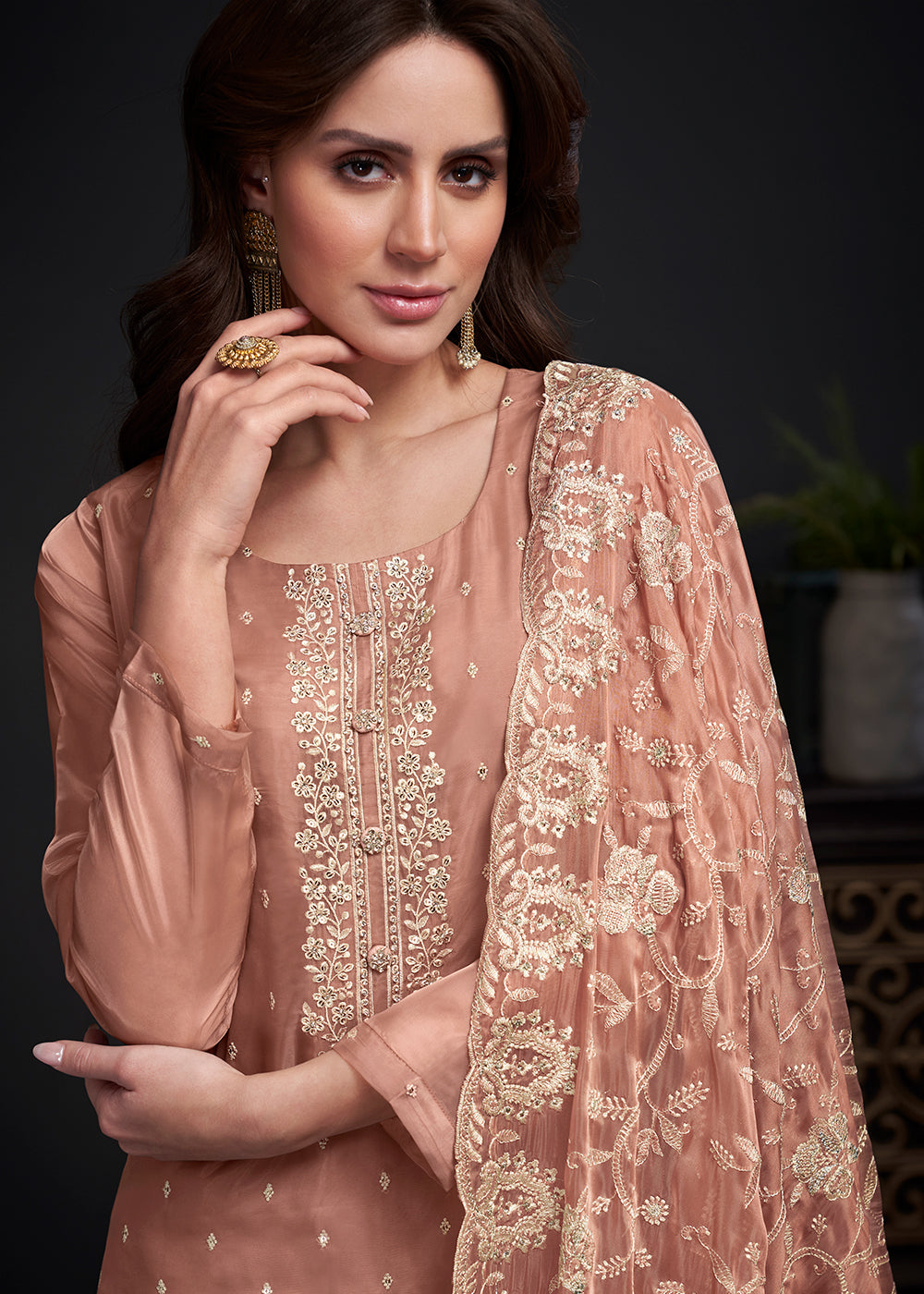 Light Brown Designer Organza Salwar Suit with Embroidery Work