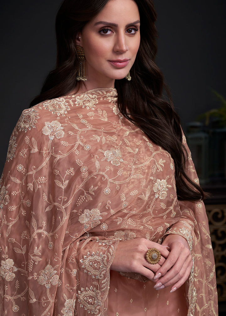 Light Brown Designer Organza Salwar Suit with Embroidery Work