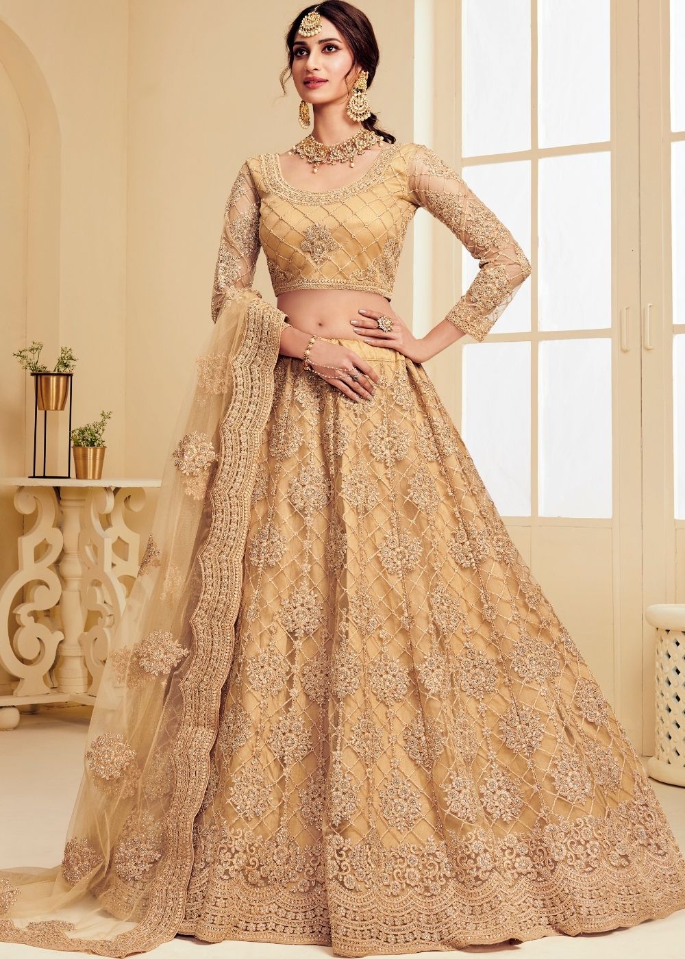 Bronze Brown Soft Net Lehenga Choli with Cording Embroidery & Stone work