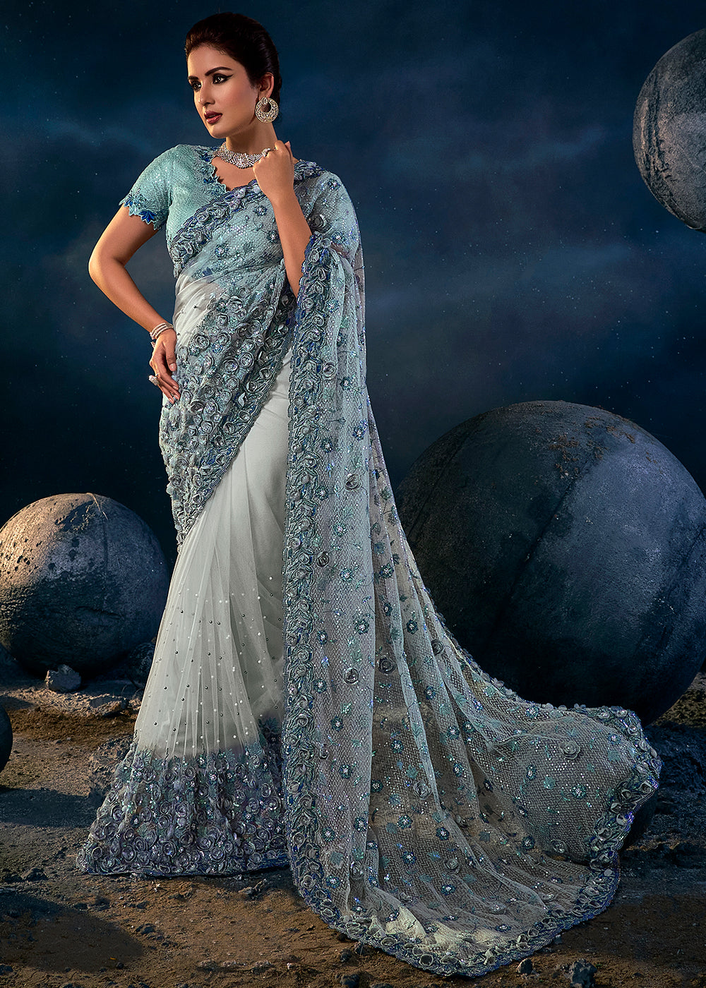 Light Grey Digital Net Saree with Thread,Sequence, Zarkan, Moti & All Over Flower Applique work