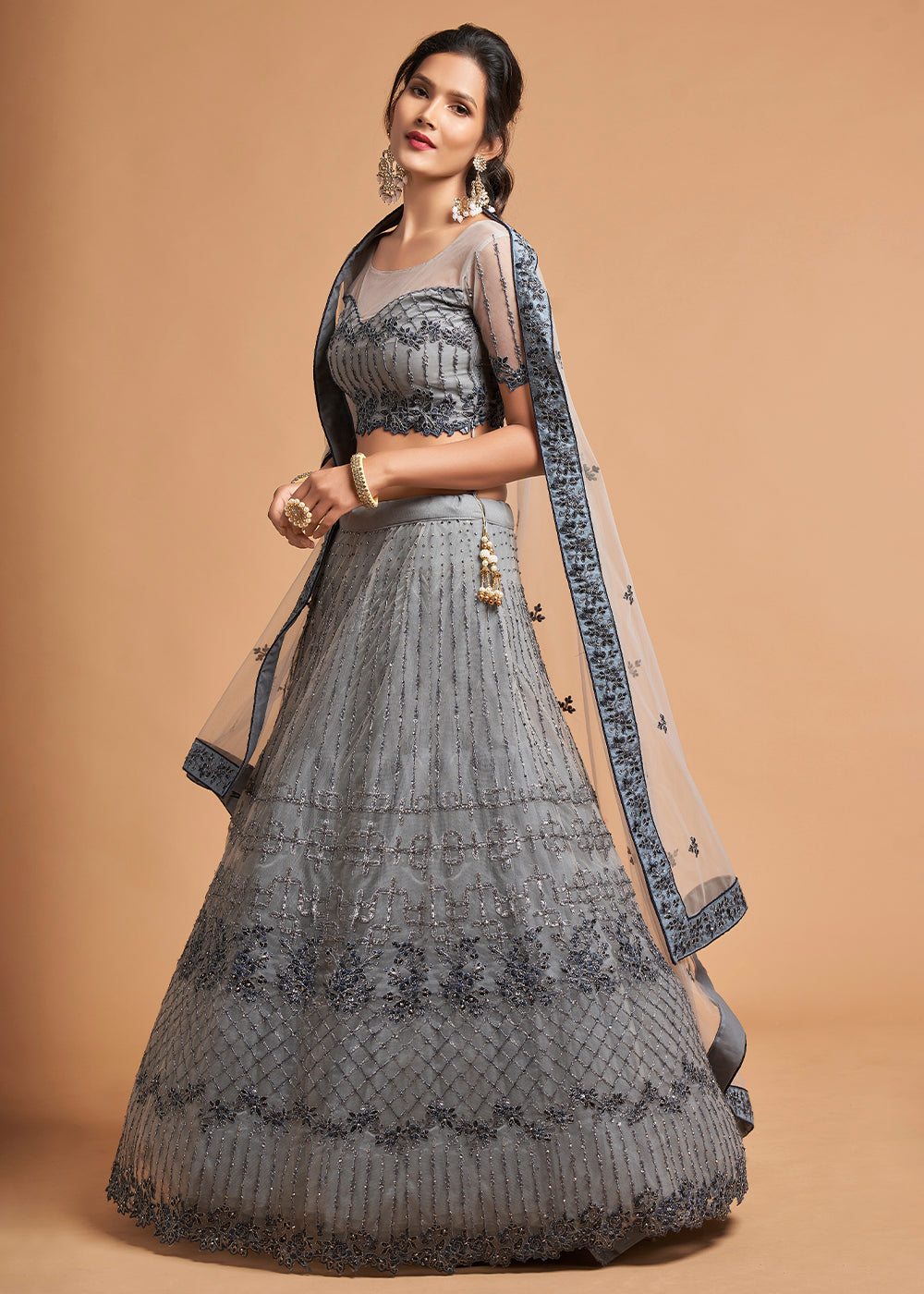 Light Grey Designer Soft Net Lehenga Choli with Zari, Dori & Thread Embroidery work