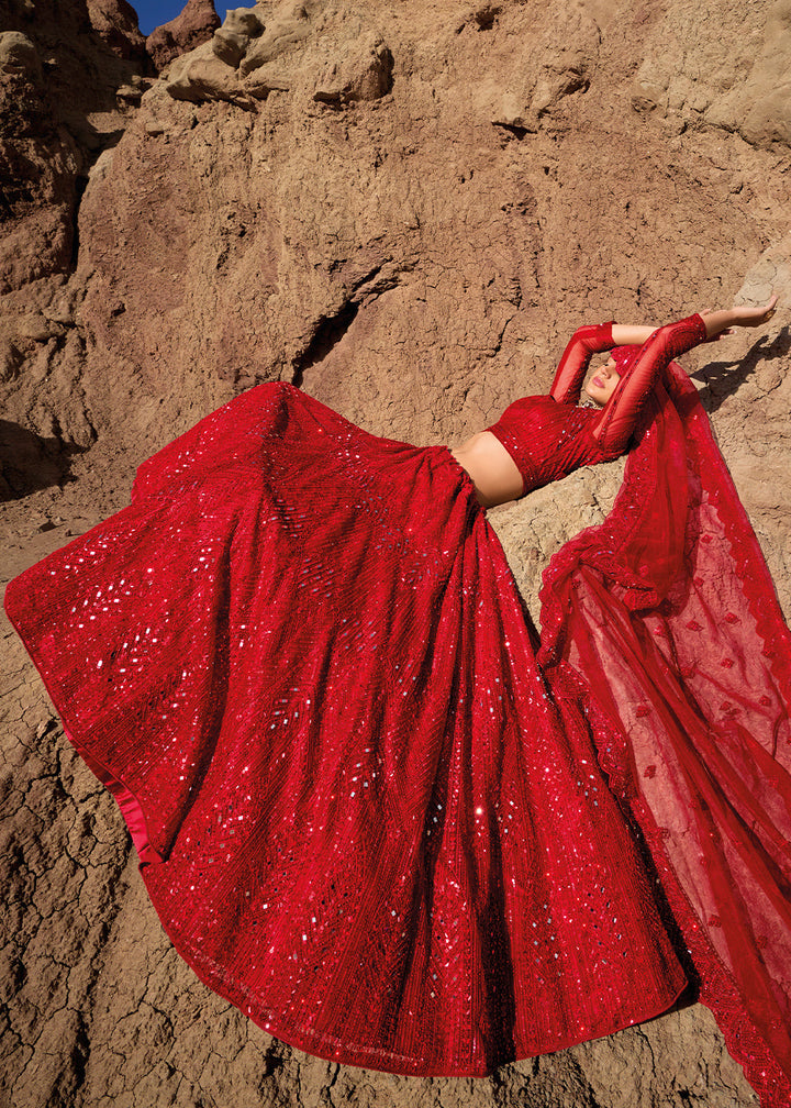 Crimson Red Net lehenga Choli with Mirror, Zarkan & Cutwork