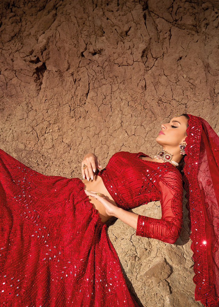 Crimson Red Net lehenga Choli with Mirror, Zarkan & Cutwork