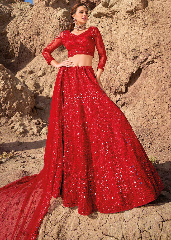 Crimson Red Net lehenga Choli with Mirror, Zarkan & Cutwork