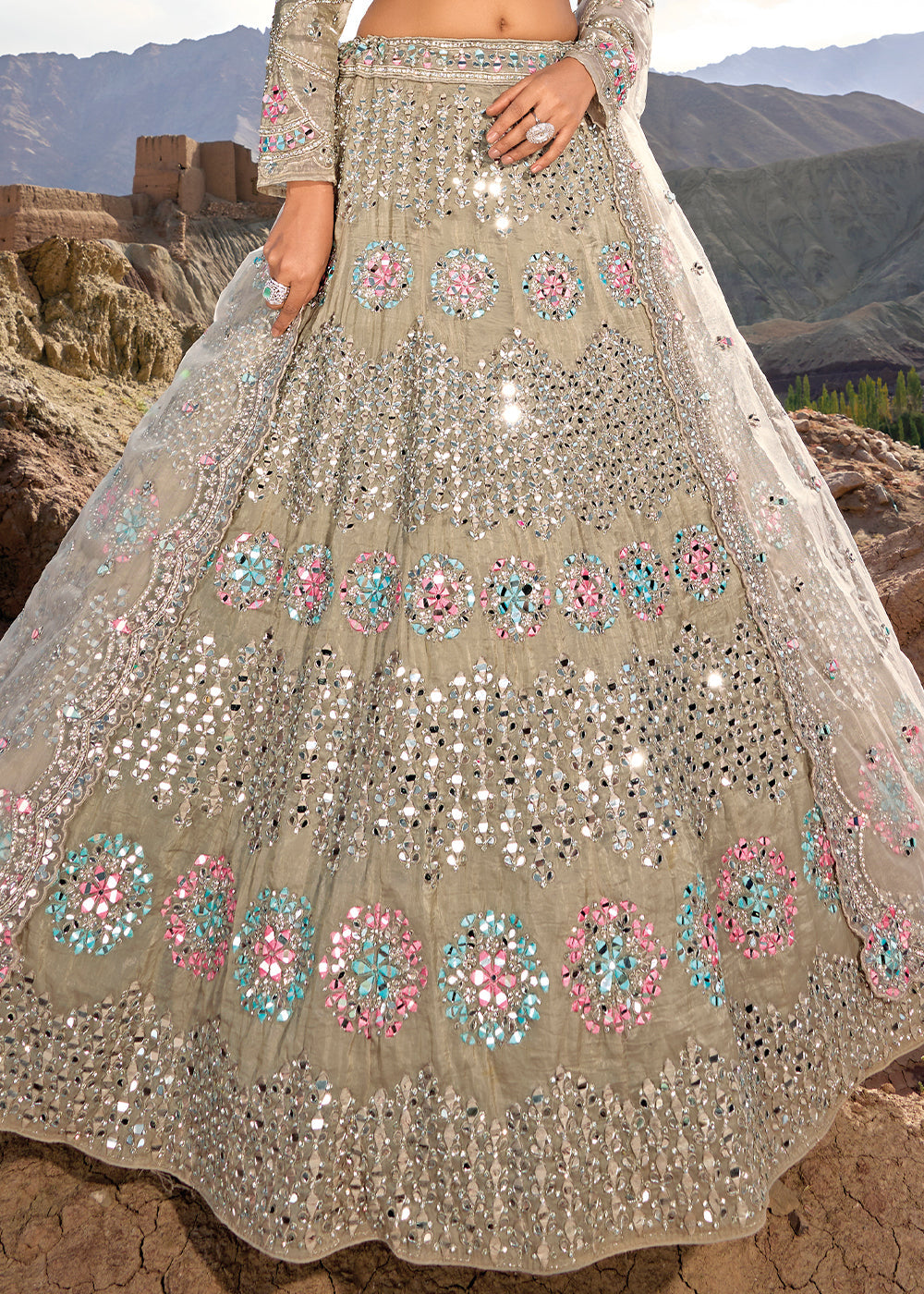 Tan Brown Organza lehenga Choli with Mirror,Zarkan & Cutwork