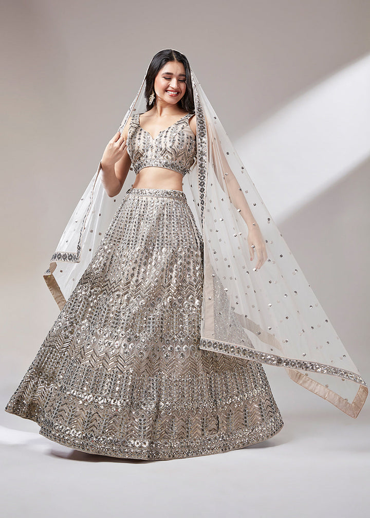 Beige Brown Net Designer Lehenga Choli with Mirror & Sequins work